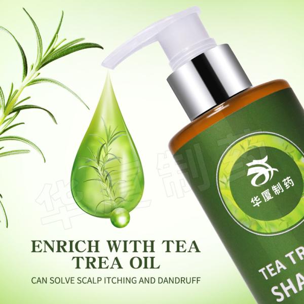 Natural Organic Anti Inflammation Anti Hair Loss Beauty Hair Shampoo Tea Tree Oil