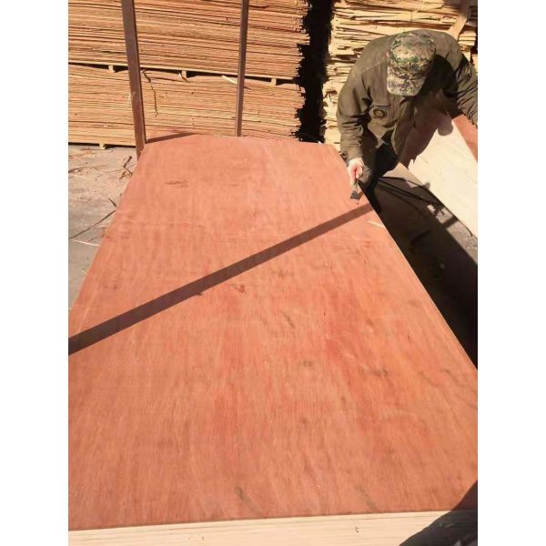 Alkaline Resistant WBP 22mm Hardwood Veneer Plywood