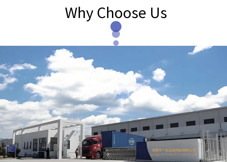 418*190*16mm Carbon Fiber Pickleball Paddle Set 2024 Arc Top Shape with Bag and Balls