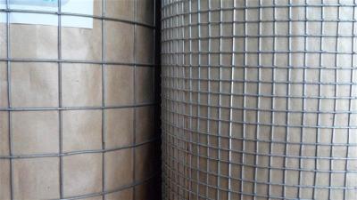 O Pvc galvanizado elétrico do tamanho do furo da polegada de 1/2 revestiu a rede de arame