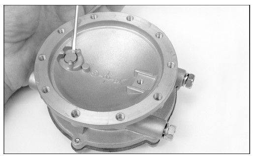 Hydrin Diaphragm RK VFF30 Lockoff IMPCO Repair Kits