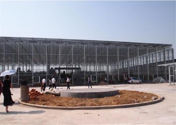Large Size Venlo Type Glass Greenhouse Hot Galvanized Steel Skeleton Material