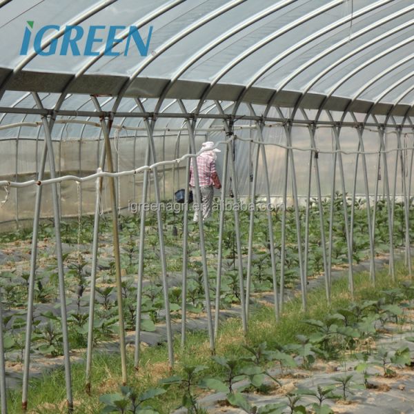 Commercial Large Single Layer Film Greenhouse with Cooling Pad Fan Internal External Shading Drip Irrigation Hydroponics System