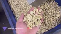 Equipo avanzado de clasificación de anacardos para procesadores vietnamitas con apoyo local y clasificación de nueces impulsada por IA