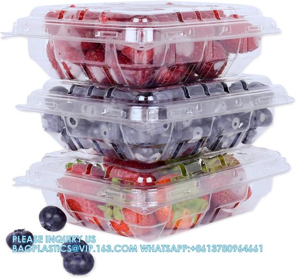 Wholesale Transparent Fresh Strawberry Packaging Container Supermarket Food Plastic Box Plastic Strawberry Packing Box