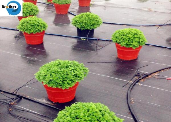 PP Woven Ground Cover Garden PP Woven Weed Barrier Control Mat Landscape Fabric