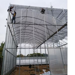 Modern Greenhouse Ventilation High Roof UV Plastic For Tropical Rainy Regions