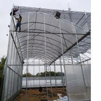 Serre UV en plastique à toit élevé avec ventilation naturelle pour les climats pluvieux