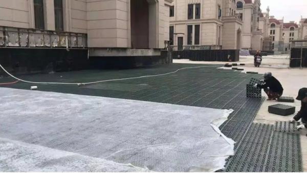 ISO9001 Certified Landscape Grass Paver Grid for Outdoor Parking Lot Versatile Design