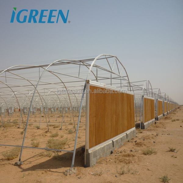 Low Cost Metal Frame Greenhouse for Vegetable Growing