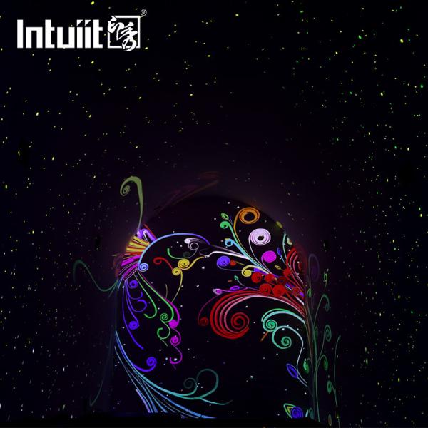 Waterproof 13W Sparkling Starry Firefly RGB Star Disco Garden Park Laser Light