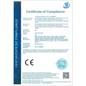GUANGDONG EV NEW ENERGY CO.,LTD Certifications