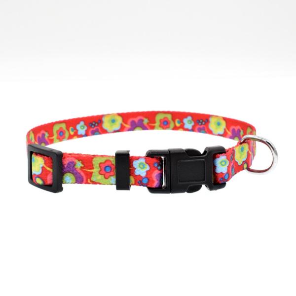 Wholesale Plain Nylon Braided Training Dog and Cat Collars and leash for walking