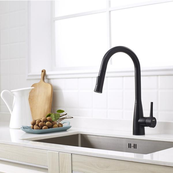 US Market Pull-Out Single Handle 2 Ways Mat Black Kitchen Faucet Pull Out Steel 304/316 Material Tap