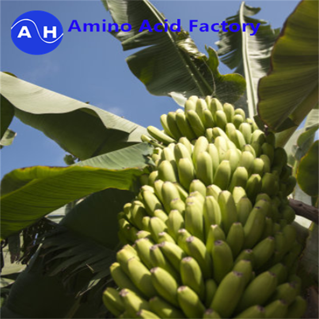 15-1-1 Чистый белок сухое органическое рыбное удобрение из рыбного трески гидролизованный пакет 500 кг