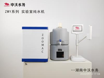 User Friendly Design Ultra Pure Water Purifier Lab Water Filtration System 10L