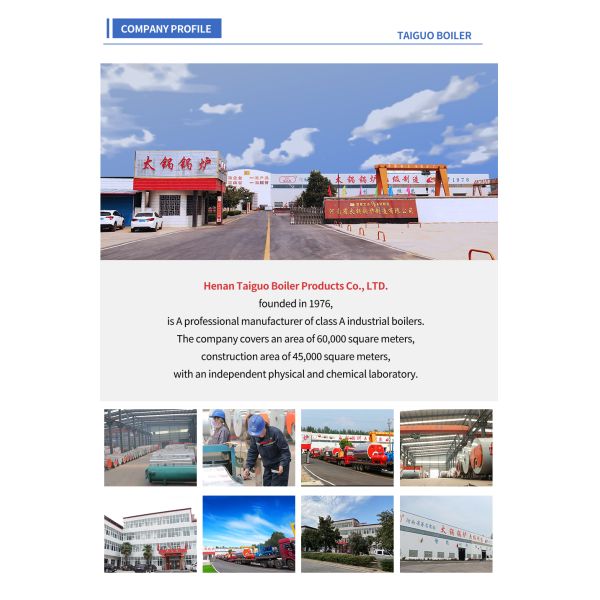 Горизонтальный котел пара трубы водопровода 50 тонн увольнянный углем для завода удобрения