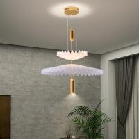 Nordic Modern Aluminum Acrylic White Black Pendant Led Lighting For Restaurant Shop Decoration
