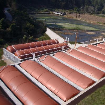 Sustainable Biogas Production Biogas Digester Tank Flexible With Mechanical Mixing