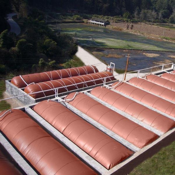 Sustainable Biogas Production Biogas Digester Tank Flexible With Mechanical Mixing