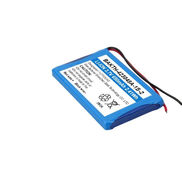 Versatile Custom Rechargeable Battery Packs Long Lasting Optimal Charging Temperature