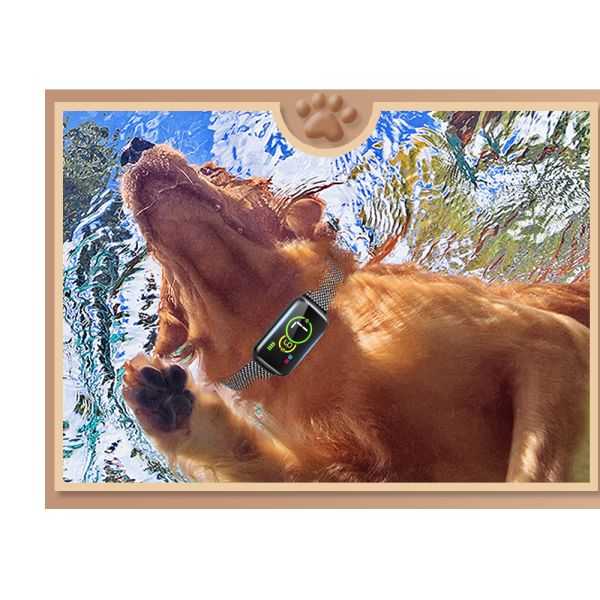IP67 Waterproof Dog Training Collar 4 Modes Warning Tone Vibrate Static Shock Upgrade