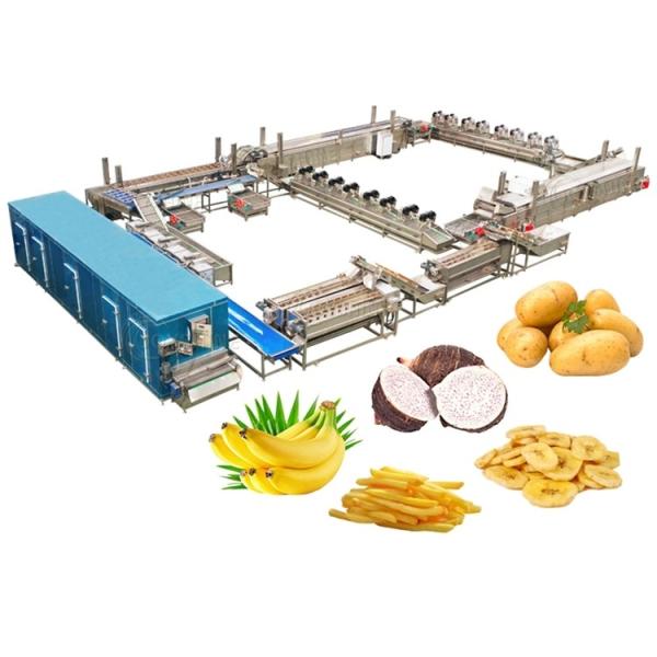 Automatic Snack French Fries Production Line Food Industry Fresh Chips Making Machine