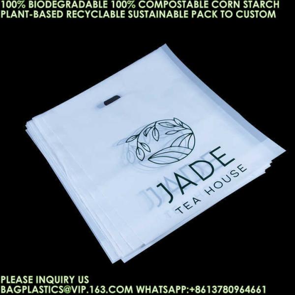 Eco-Friendly Recyclable Bag Corn Starch Compostable Beverage Bag 100% Biodegradable Vegetable Fruit Pouch Bags