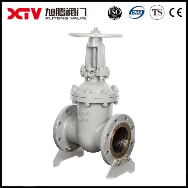 ANSI Flanged Class 150 Stainless Steel Body Gate Valve Affordable Full Payment Option