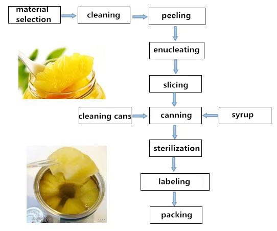 Pineapple Process Food Canning Equipment Costomized Dimension High Performance