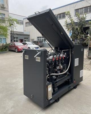 O CE da eficiência elevada aprovou micro CHP Mini Cogenerator Set Unit System 16kw 20kva do biogás