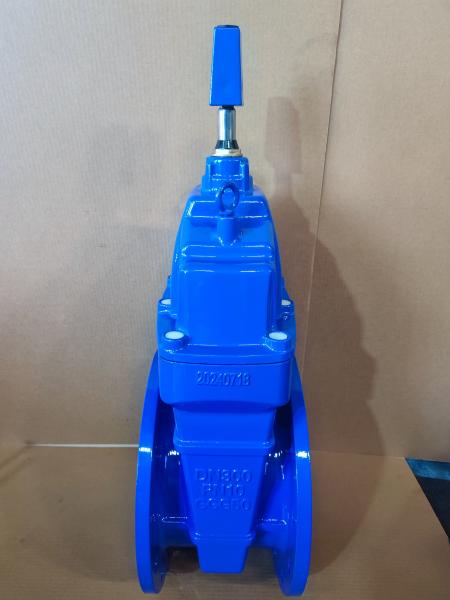 DN40-DN1200 Válvulas del asiento resistentes de hierro fundido OEM Revestimiento anticorrosión
