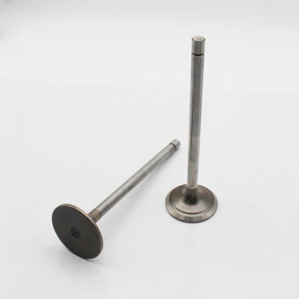 6D14 6d16T 4D30 Diesel Engine  Inlet Exhaust Valves For Mitsubishi Forklift Spare Parts