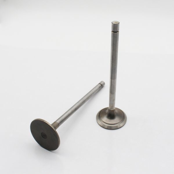 6D14 6d16T 4D30 Diesel Engine  Inlet Exhaust Valves For Mitsubishi Forklift Spare Parts