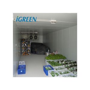 Cold Storage Room Walk-in Freezer Refrigerator Blast Cold Room for Hydroponics
