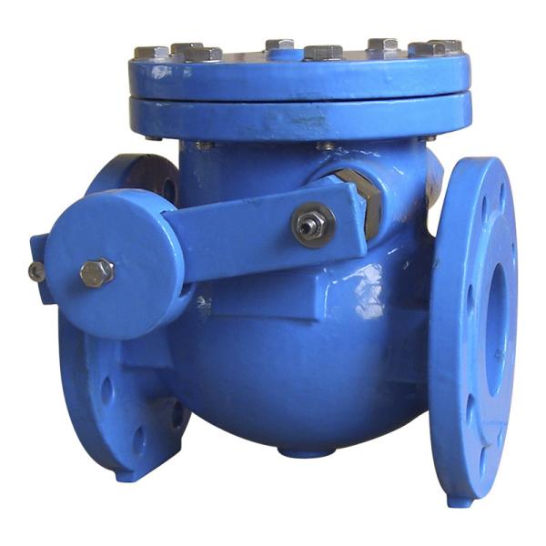 Double Flange Industrial Check Valves BS5153 L / W For Water Oil Steam