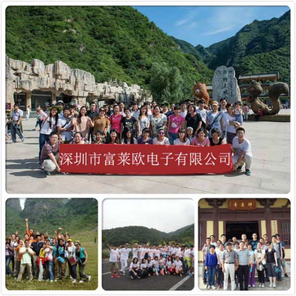 Shenzhen Flier Electronic Co., Ltd.