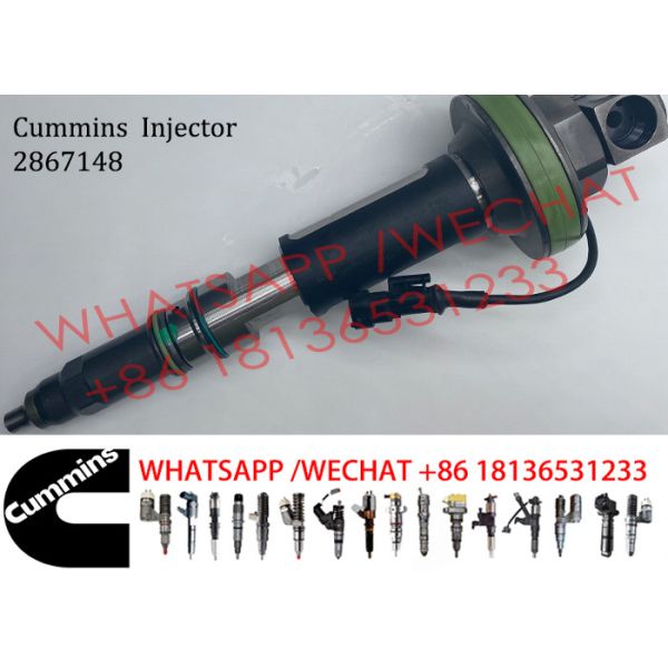 Diesel Engine Fuel Injector 2867148 2867147 2882078 For Cummins QSK19 QSK60 Engine