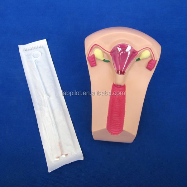 PVC IUD Contraception Simulator The Ideal Teaching Tool for Family Planning
