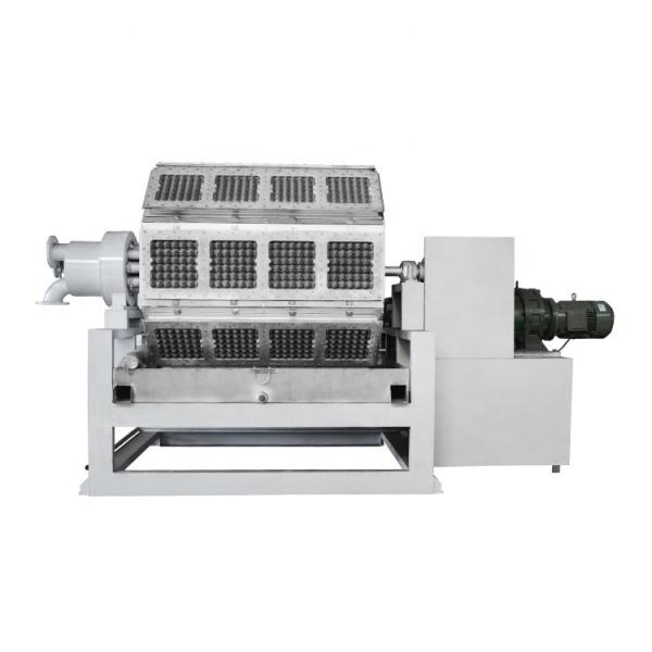 Linha de produção de bandejas de ovos de papel de resíduos ecológicos de formação rotativa recíproca 45KW-200kw