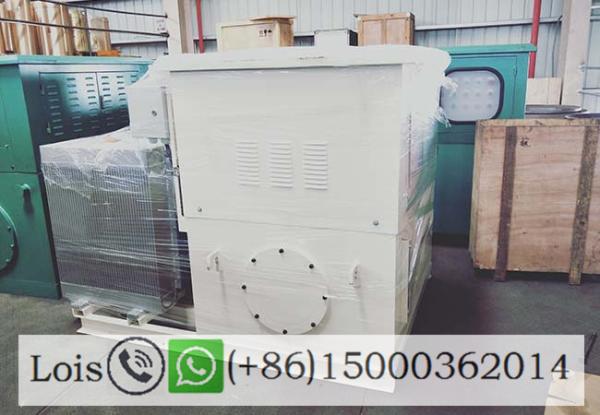 Dispositivo de proteção composto da sobrecarga do triturador do cone do de alta capacidade para minar a pedreira