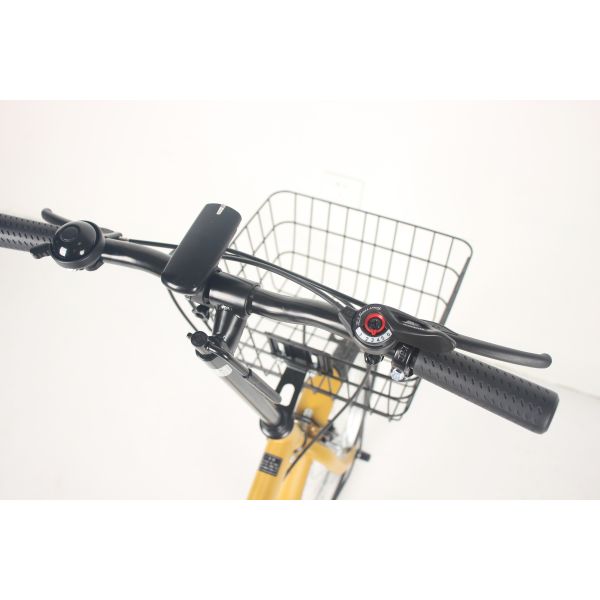 Lightest Steel Fork 20Inch Folding Road Bike With Aluminum Alloy Rim Material