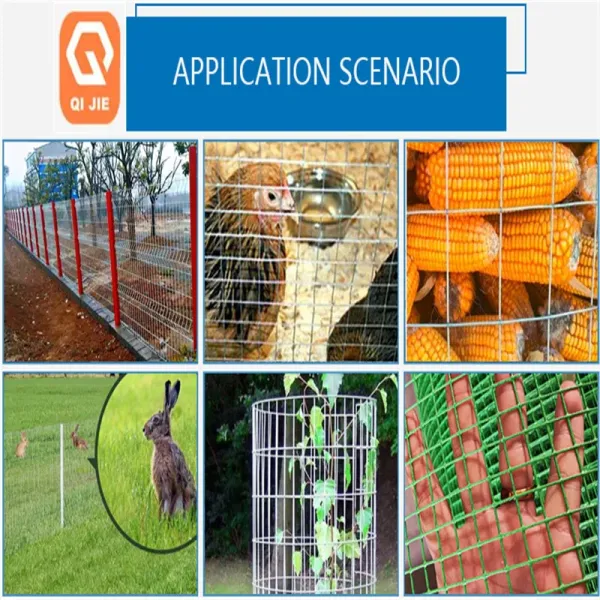 Galvanized Metal Welded Wire Mesh Garden Fence Rolls