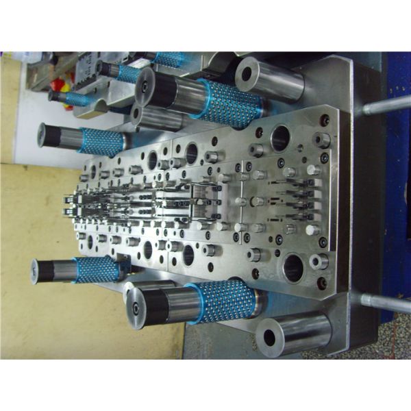 Proceso múltiple que muele de pulido de la pieza estampada en frío del corte progresivo de encargo del alambre