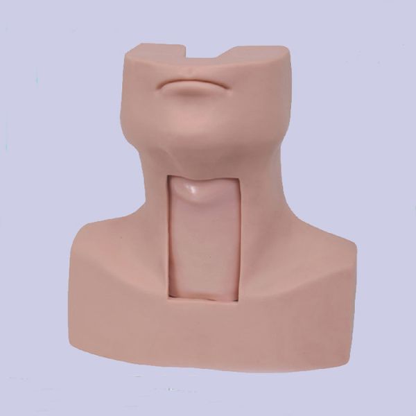 Medical Emergency Training Advanced Tracheostomy Simulator On CPR Model