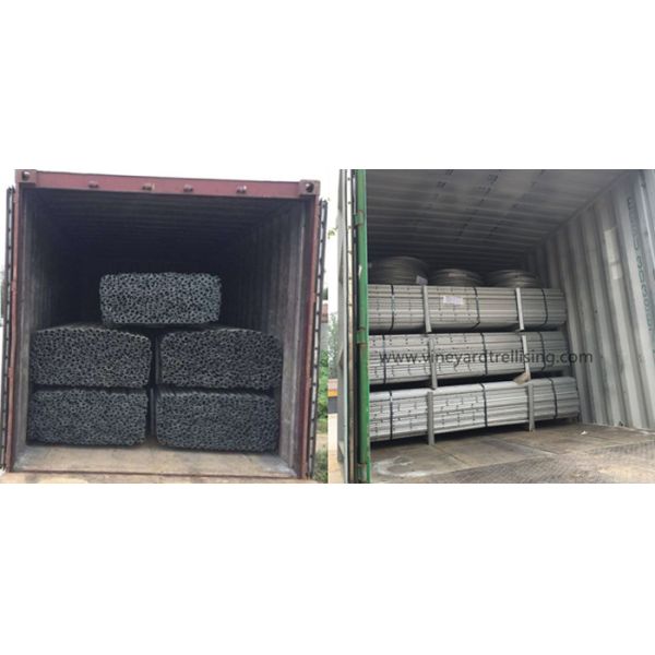 Durable Grape Vine Stakes / Galvanised Steel Vineyard Posts Package In Pallet