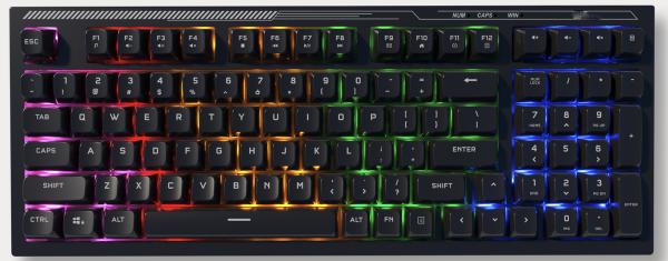 Teclado mecánico ETEK de 98 teclas desmontable USB-C, ABS + placa de hierro, membrana plateada, retroiluminación blanca/arcoíris, vida útil de 10 millones de pulsaciones