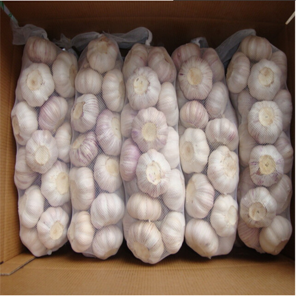 NORMAL WHITE GARLIC 1KG BAG 10 BAGS PER CARTON