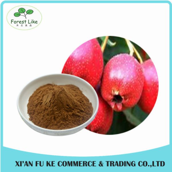 Anti Aging Fresh Hawthorn Extract Hawthorn Flavones