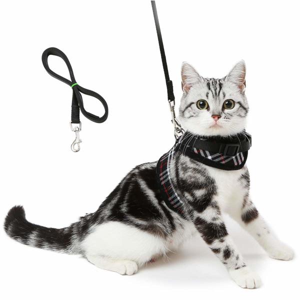 Adjustable Soft Mesh Cat Harness Vest And Leash Set Padded Lining Snug - Fit
